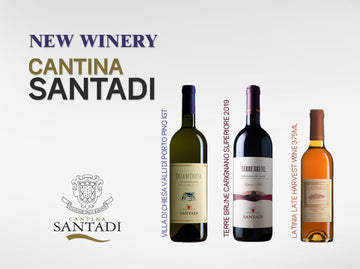 New Winery : Cantina Santadi